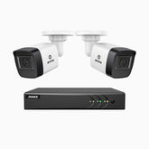 EL200 - Kit de 2 cámaras de vigilancia 1080p con grabador de 8 canales, DVR inteligente con detección de humanos y vehículos, visión nocturna por infrarrojos de 20 metros, señal de salida 4-en-1, IP67
