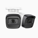 C300 - 2 X Cámara de vigilancia IP PoE exterior de 3MP, visión nocturna EXIR 2.0, detección de movimiento, H.265+, impermeabilidad IP67